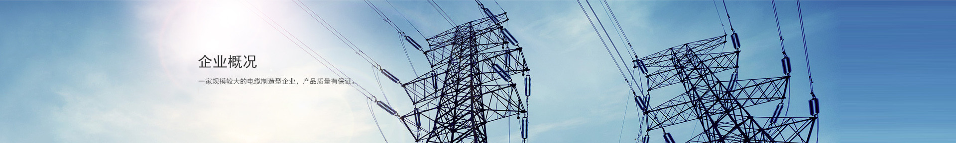 企業(yè)概況
